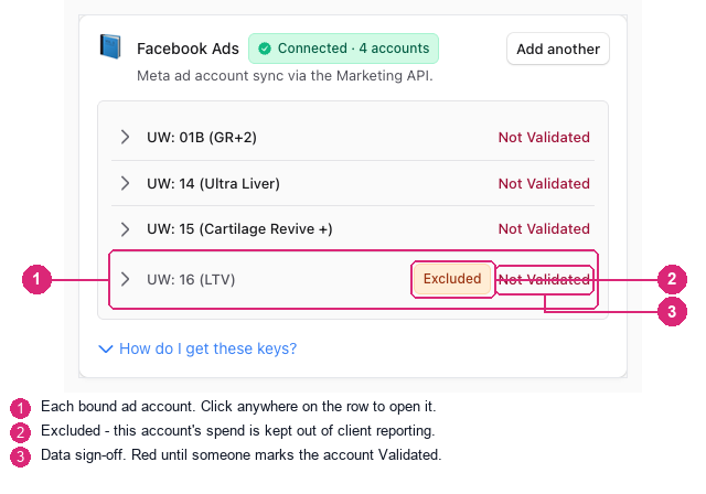 The collapsed ad-account list, with the account row, Excluded chip, and validation state marked